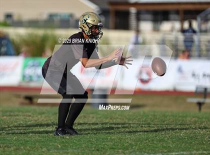 Thumbnail 3 in Mulberry @ George Jenkins photogallery.