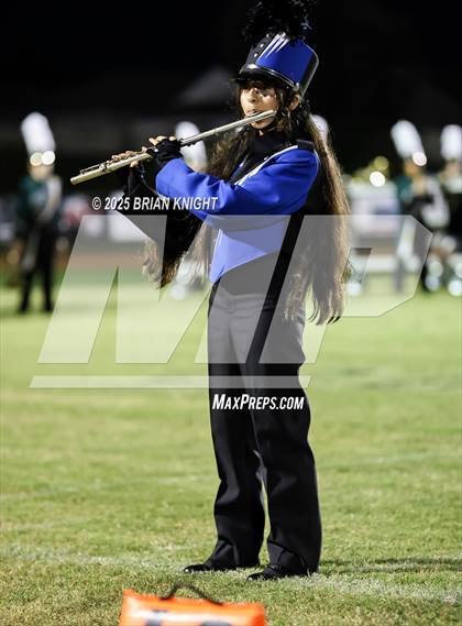 Thumbnail 3 in Mulberry @ George Jenkins photogallery.