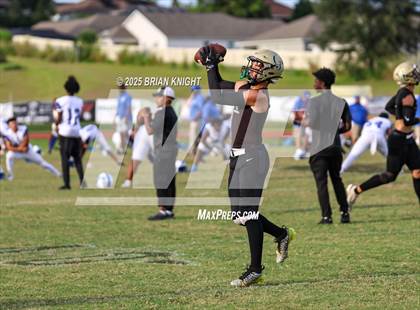 Thumbnail 2 in Mulberry @ George Jenkins photogallery.