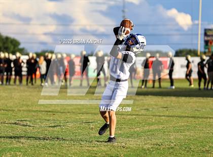 Thumbnail 1 in Mulberry @ George Jenkins photogallery.