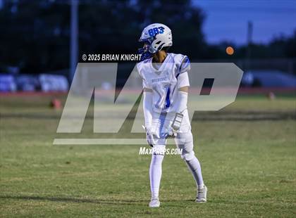 Thumbnail 2 in Mulberry @ George Jenkins photogallery.