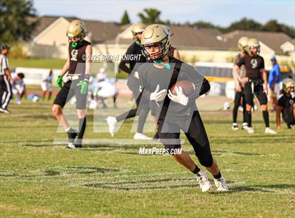 Thumbnail 2 in Mulberry @ George Jenkins photogallery.