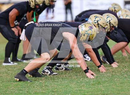 Thumbnail 2 in Mulberry @ George Jenkins photogallery.