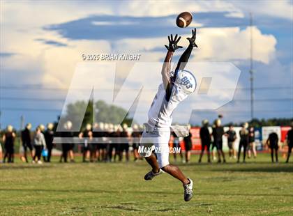 Thumbnail 2 in Mulberry @ George Jenkins photogallery.