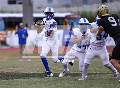 Thumbnail 1 in Mulberry @ George Jenkins photogallery.