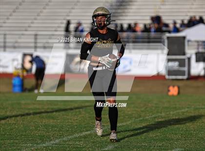 Thumbnail 2 in Mulberry @ George Jenkins photogallery.