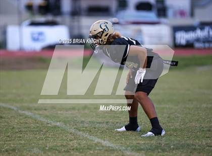 Thumbnail 1 in Mulberry @ George Jenkins photogallery.