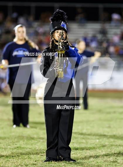 Thumbnail 2 in Mulberry @ George Jenkins photogallery.