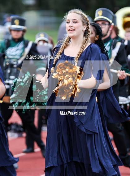 Thumbnail 3 in Mulberry @ George Jenkins photogallery.