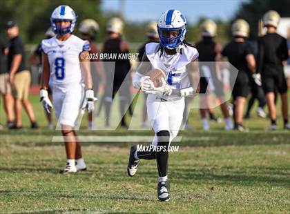 Thumbnail 2 in Mulberry @ George Jenkins photogallery.