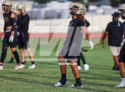 Thumbnail 3 in Mulberry @ George Jenkins photogallery.