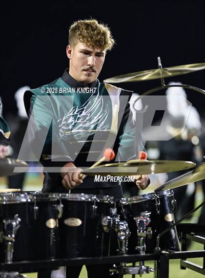 Thumbnail 3 in Mulberry @ George Jenkins photogallery.