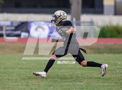 Thumbnail 2 in Mulberry @ George Jenkins photogallery.