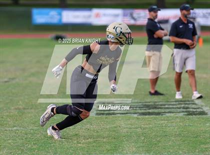 Thumbnail 3 in Mulberry @ George Jenkins photogallery.