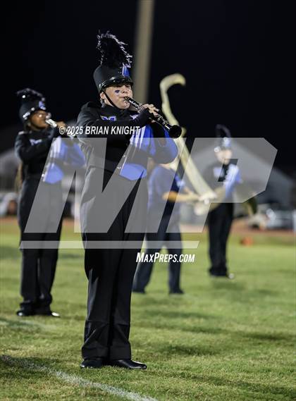 Thumbnail 2 in Mulberry @ George Jenkins photogallery.