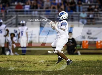 Thumbnail 3 in Mulberry @ George Jenkins photogallery.