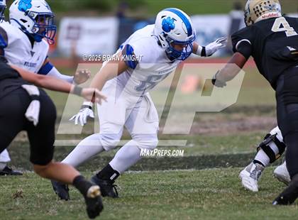 Thumbnail 2 in Mulberry @ George Jenkins photogallery.