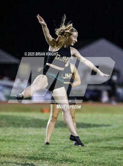 Thumbnail 3 in Mulberry @ George Jenkins photogallery.