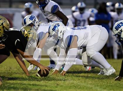 Thumbnail 3 in Mulberry @ George Jenkins photogallery.