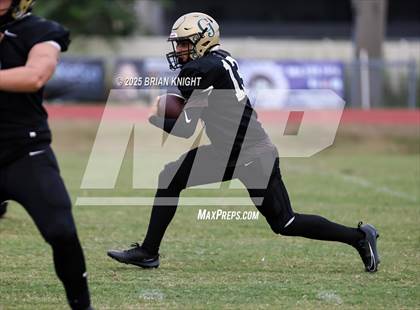 Thumbnail 1 in Mulberry @ George Jenkins photogallery.