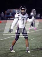 Photo from the gallery "Mount Vernon @ Robinson"