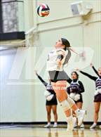 Photo from the gallery "Davenport vs. Floresville (UIL Volleyball 4A Region 4 Final)"