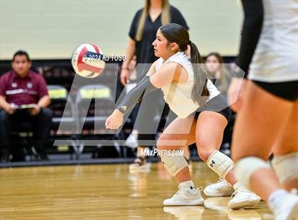 Thumbnail 2 in Davenport vs. Floresville (UIL Volleyball 4A Region 4 Final) photogallery.