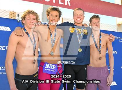 Thumbnail 2 in AIA Division III Championships (Awards) photogallery.