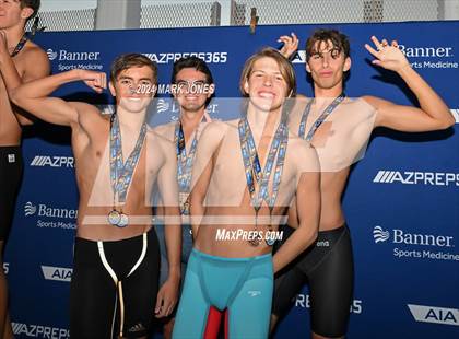 Thumbnail 3 in AIA Division III Championships (Awards) photogallery.