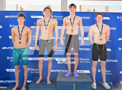 Thumbnail 2 in AIA Division III Championships (Awards) photogallery.