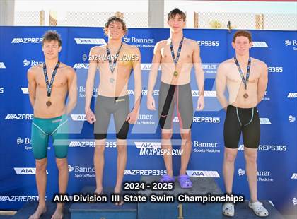 Thumbnail 3 in AIA Division III Championships (Awards) photogallery.