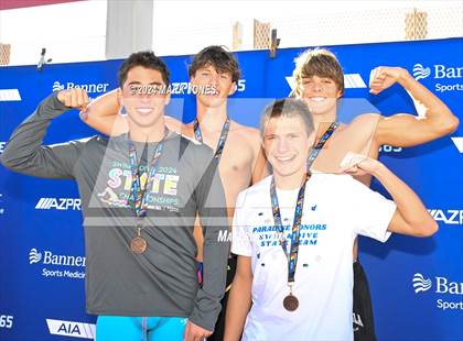 Thumbnail 3 in AIA Division III Championships (Awards) photogallery.
