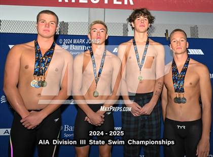 Thumbnail 1 in AIA Division III Championships (Awards) photogallery.