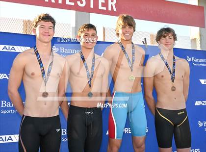 Thumbnail 1 in AIA Division III Championships (Awards) photogallery.
