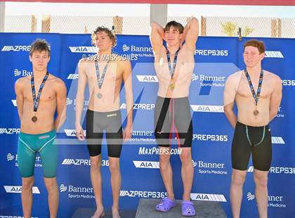 Thumbnail 3 in AIA Division III Championships (Awards) photogallery.