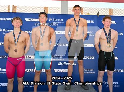Thumbnail 2 in AIA Division III Championships (Awards) photogallery.