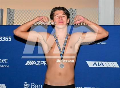 Thumbnail 3 in AIA Division III Championships (Awards) photogallery.