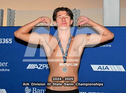 Thumbnail 1 in AIA Division III Championships (Awards) photogallery.