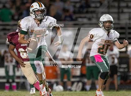 Thumbnail 2 in Seminole @ Countryside photogallery.