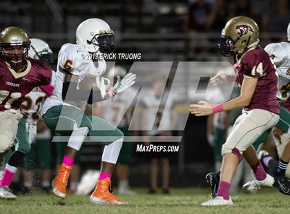 Thumbnail 3 in Seminole @ Countryside photogallery.