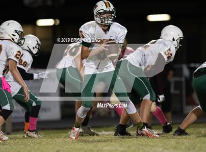 Thumbnail 2 in Seminole @ Countryside photogallery.