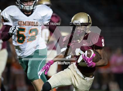 Thumbnail 3 in Seminole @ Countryside photogallery.