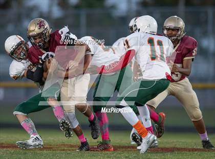 Thumbnail 2 in Seminole @ Countryside photogallery.
