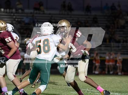 Thumbnail 3 in Seminole @ Countryside photogallery.