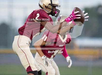 Thumbnail 3 in Seminole @ Countryside photogallery.