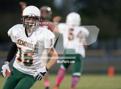Thumbnail 1 in Seminole @ Countryside photogallery.