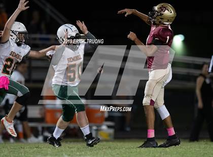 Thumbnail 1 in Seminole @ Countryside photogallery.