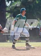 Photo from the gallery "Schurr @ Bell Gardens"