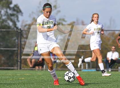 Thumbnail 1 in Hamden @ Fitch photogallery.