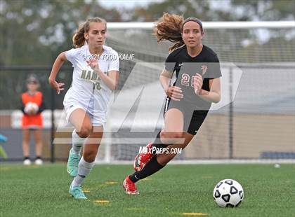 Thumbnail 2 in Hamden @ Fitch photogallery.